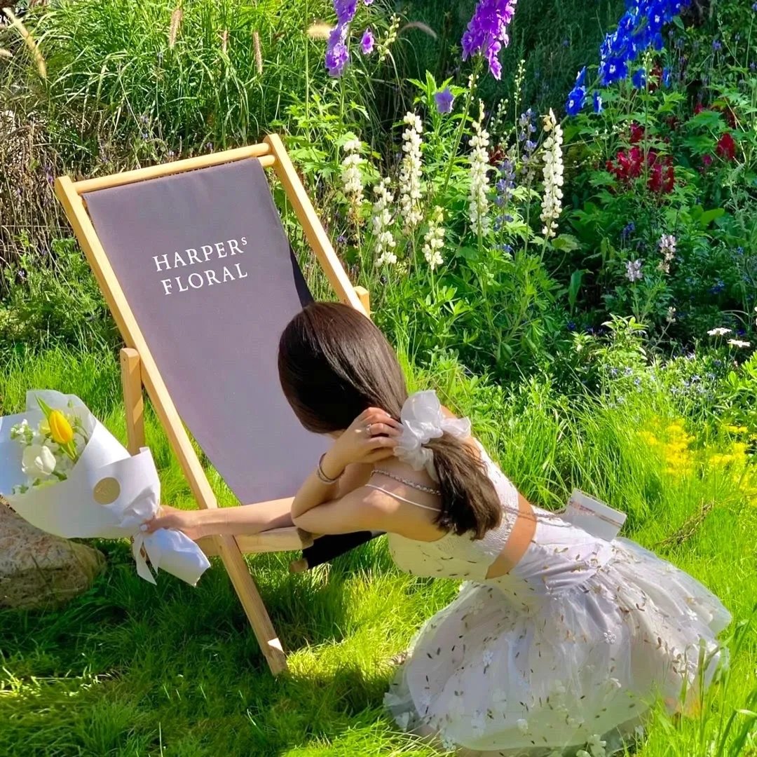 南侠展昭之困兽危笼